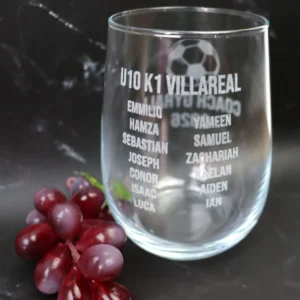 Coach Stemless Wine Glass