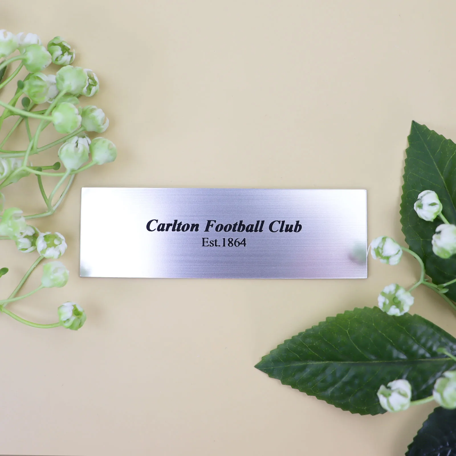 Trophy Plaque for Indoor Use